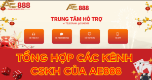 Tổng hợp các kênh chăm sóc khách hàng AE888